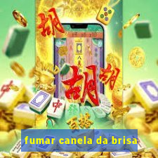 fumar canela da brisa